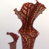 Sarracenia leucophylla “hot pink selctions 1” x flava var. ornata “super ornata”, da seme, esemplari assortiti