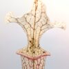 Sarracenia (x moorei “pinkish top”) x (x “camisole”) da seme, esemplari assortiti
