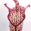 Sarracenia (x “Royal white red”) x self da seme, esemplari assortiti