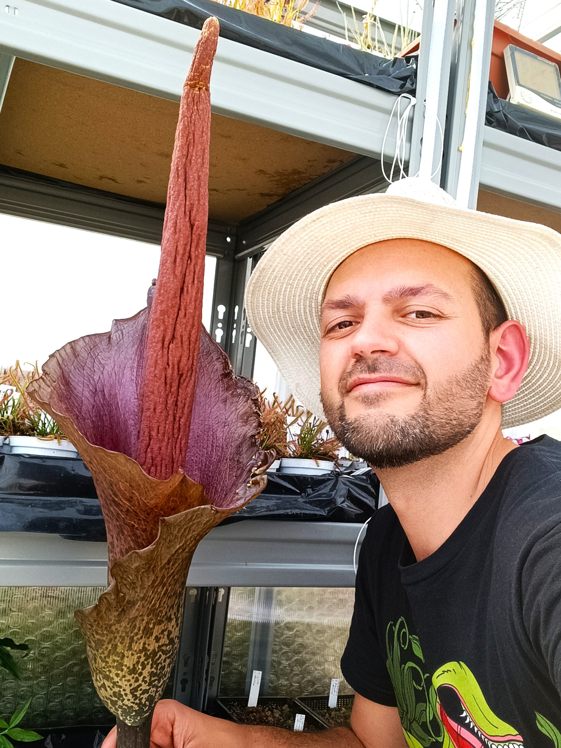 Fiori cadavere