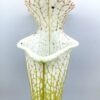 Sarracenia leucophylla (L79 MK x ‘HCW’ cl. F), cl. B